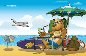 Cervecería El Transporte en Gijón: Un espacio dogfriendly para los amantes de la cerveza